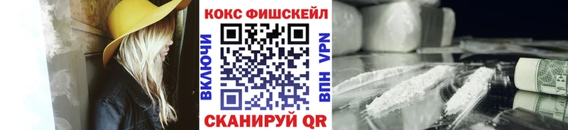 Купить закладки  Богородицк  КОКАИН Fish Scale 