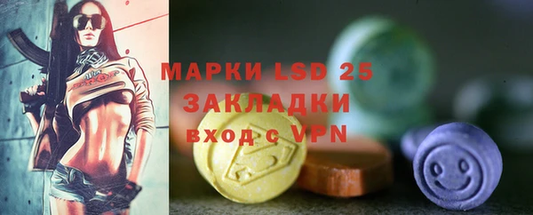 прущие грибы Киреевск