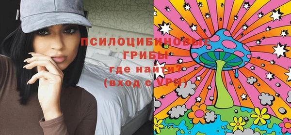 ГАЛЛЮЦИНОГЕННЫЕ ГРИБЫ Кинешма