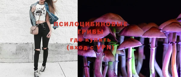 МДПВ Киренск