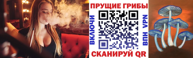 Купить  Богородицк  Галлюциногенные грибы Cubensis 